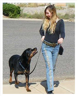 Adrienne Farricelli, CPDT-KA certified dog trainer, with her two Rottweilers Einstein and Petra